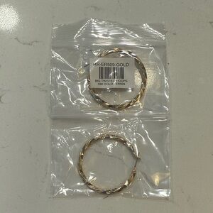 Caitlyn Minimalist Twisted Hoop Earrings